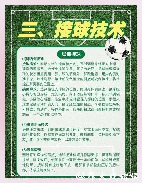 深入解析世界杯外围平台稳定性与安全性